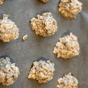 Oatmeal Protein Ball Recipe