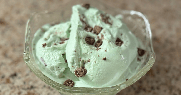 Mint Chocolate Chip Ice Cream