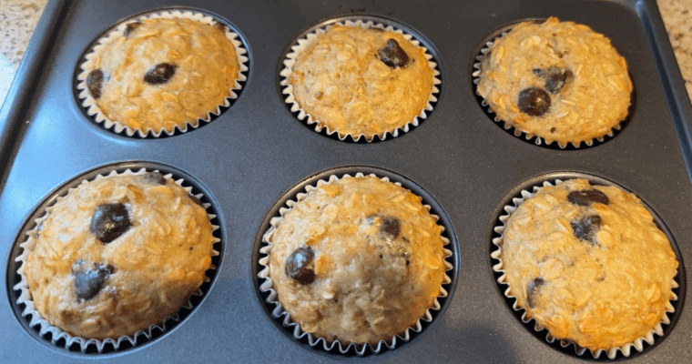 Protein Muffins