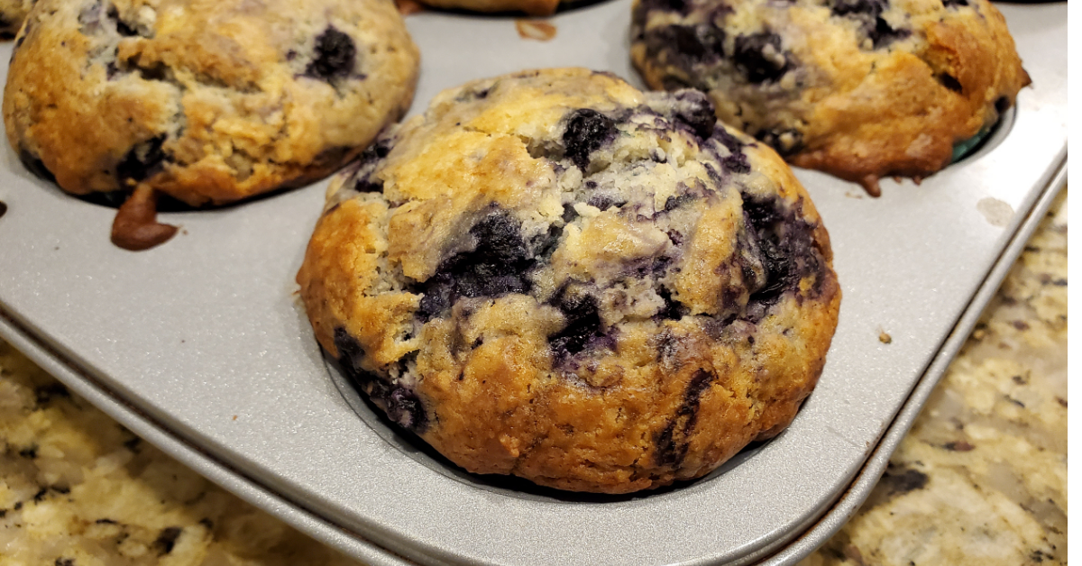 Blueberry Protein Muffins